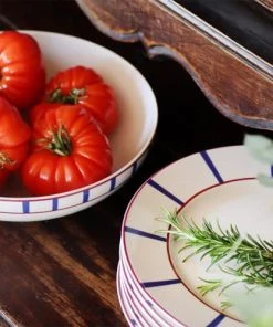 Maison Jean-Vier Assiette Plate Porcelaine Blanc 26,50 Cm -Chef&Sommelier-boutique assiette plate porcelaine blanc 26 50 cm 3