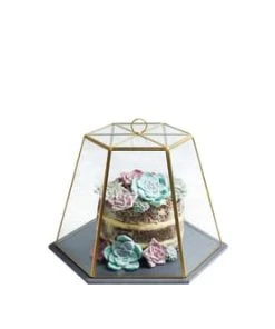 Artesa Cloche En Verre Avec Plat En Ardoise - Transperent Et Noir -Chef&Sommelier-boutique cloche en verre avec plat en ardoise transperent et noir 5