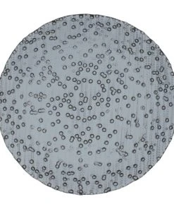 Table Passion Lot De 6 Assiettes Plate 28 Cm En Verre Gris