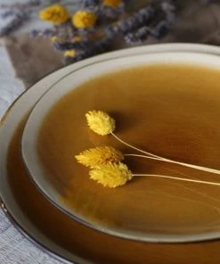 OGO Living Lot De 6 Assiettes Plates En Grès Jaune 27,5cm -Chef&Sommelier-boutique lot de 6 assiettes plates en gres jaune 27 5cm 4