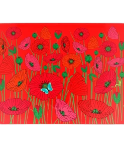 Pylones Planche En Verre